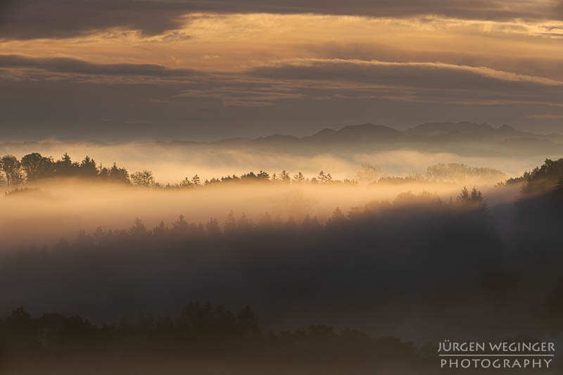 mostviertel, Niederösterreich, landschaft, waldlandschaft, nebel, nebelbilder, morgenlicht, morgen, sonnenaufgang, mystische bilder, österreich, naturfotografie, landschaftsfotografie, wälder, gegenlichtaufnahmen