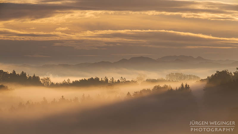 mostviertel, Niederösterreich, landschaft, waldlandschaft, nebel, nebelbilder, morgenlicht, morgen, sonnenaufgang, mystische bilder, österreich, naturfotografie, landschaftsfotografie, wälder, gegenlichtaufnahmen