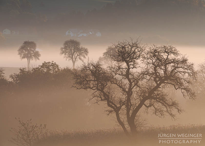 mostviertel, Niederösterreich, landschaft, waldlandschaft, nebel, nebelbilder, morgenlicht, morgen, sonnenaufgang, mystische bilder, österreich, naturfotografie, landschaftsfotografie, wälder, gegenlichtaufnahmen