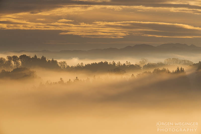 mostviertel, Niederösterreich, landschaft, waldlandschaft, nebel, nebelbilder, morgenlicht, morgen, sonnenaufgang, mystische bilder, österreich, naturfotografie, landschaftsfotografie, wälder, gegenlichtaufnahmen