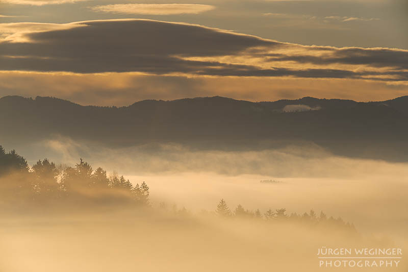 mostviertel, Niederösterreich, landschaft, waldlandschaft, nebel, nebelbilder, morgenlicht, morgen, sonnenaufgang, mystische bilder, österreich, naturfotografie, landschaftsfotografie, wälder, gegenlichtaufnahmen