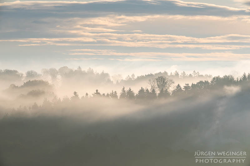 mostviertel, Niederösterreich, landschaft, waldlandschaft, nebel, nebelbilder, morgenlicht, morgen, sonnenaufgang, mystische bilder, österreich, naturfotografie, landschaftsfotografie, wälder, gegenlichtaufnahmen