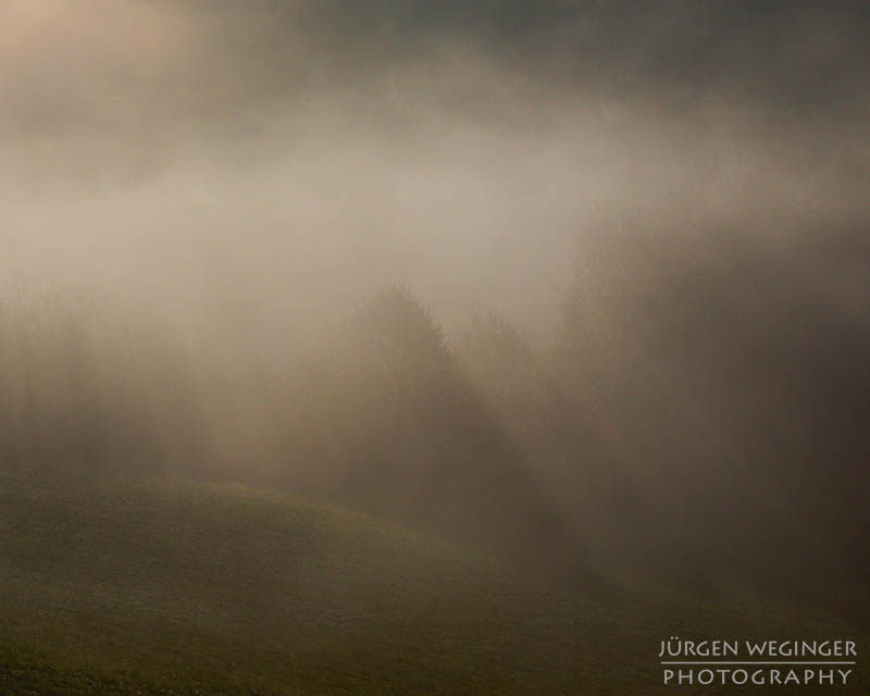 mostviertel, Niederösterreich, landschaft, waldlandschaft, nebel, nebelbilder, morgenlicht, morgen, sonnenaufgang, mystische bilder, österreich, naturfotografie, landschaftsfotografie, wälder, gegenlichtaufnahmen