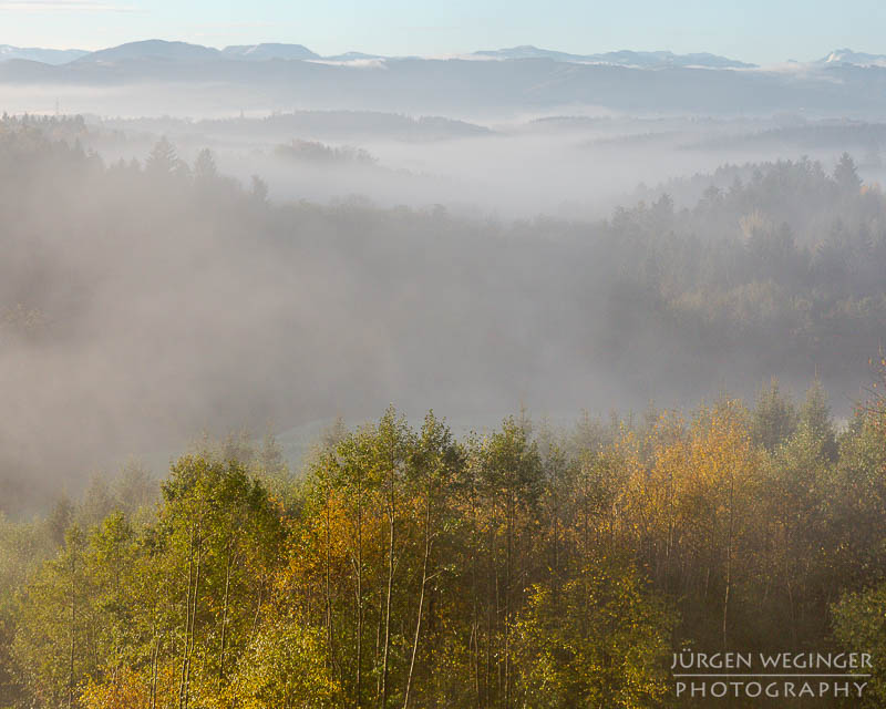 mostviertel, Niederösterreich, landschaft, waldlandschaft, nebel, nebelbilder, morgenlicht, morgen, sonnenaufgang, mystische bilder, österreich, naturfotografie, landschaftsfotografie, wälder, gegenlichtaufnahmen