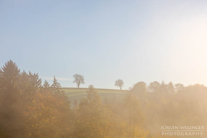 mostviertel, Niederösterreich, landschaft, waldlandschaft, nebel, nebelbilder, morgenlicht, morgen, sonnenaufgang, mystische bilder, österreich, naturfotografie, landschaftsfotografie, wälder, gegenlichtaufnahmen