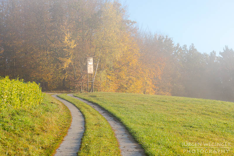 mostviertel, Niederösterreich, landschaft, waldlandschaft, nebel, nebelbilder, morgenlicht, morgen, sonnenaufgang, mystische bilder, österreich, naturfotografie, landschaftsfotografie, wälder, gegenlichtaufnahmen