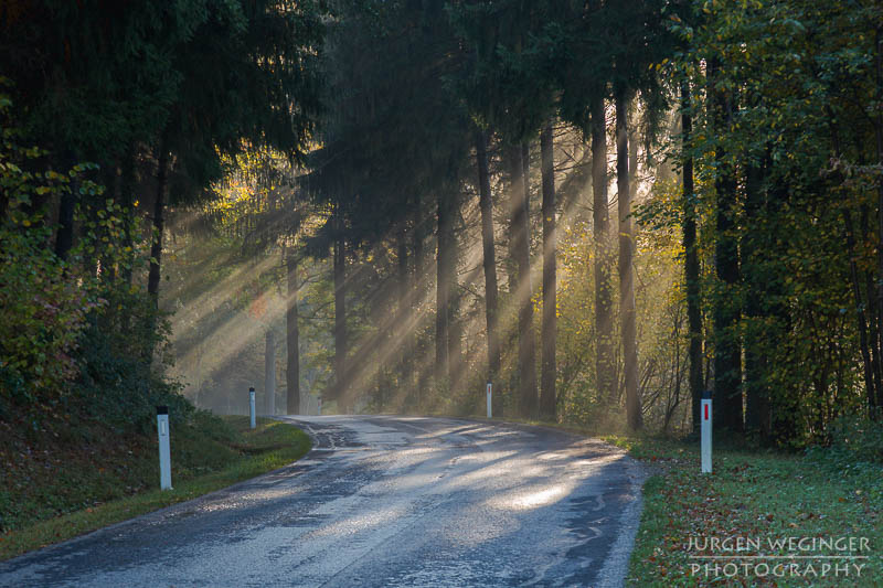 mostviertel, Niederösterreich, landschaft, waldlandschaft, nebel, nebelbilder, morgenlicht, morgen, sonnenaufgang, mystische bilder, österreich, naturfotografie, landschaftsfotografie, wälder, gegenlichtaufnahmen