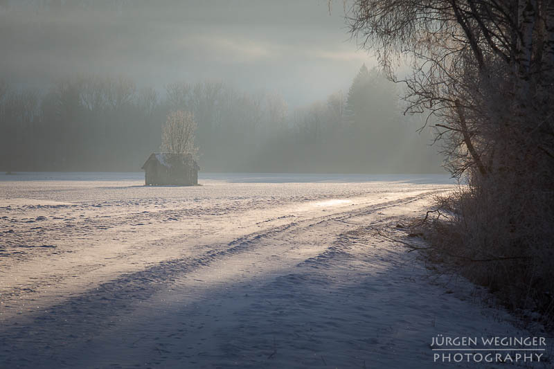 Frost am Morgen fotografieren | Unterwegs bei minus 10 Grad