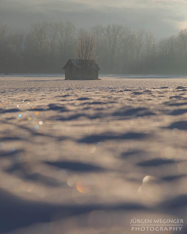 frost, winter, winterlandschaft, winterzauber, ardning, steiermark, liezen, admont, birken