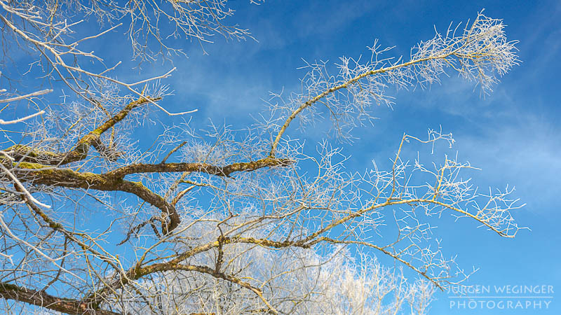 frost, winter, winterlandschaft, winterzauber, ardning, steiermark, liezen, admont, birken