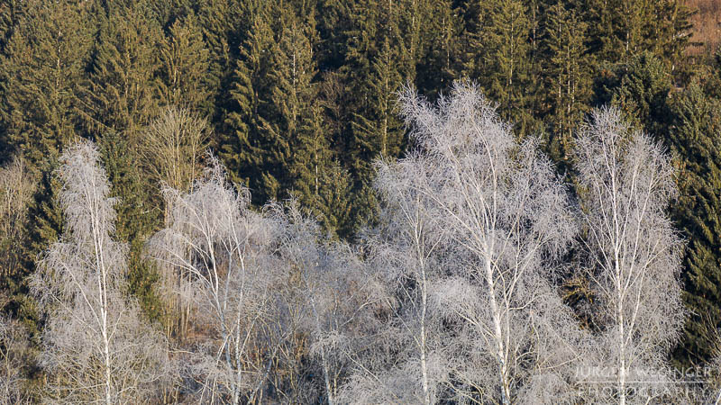 frost, winter, winterlandschaft, winterzauber, ardning, steiermark, liezen, admont, birken