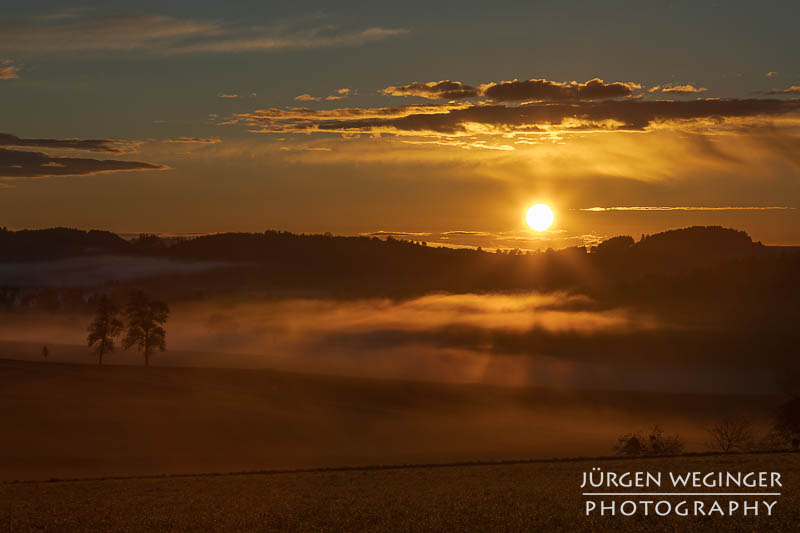 Hügelige Landschaft im warmen Gegenlicht. Mostviertel, Niederösterreich