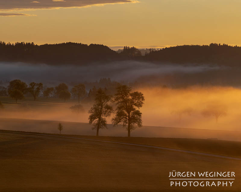 Hügelige Landschaft im warmen Gegenlicht. Mostviertel, Niederösterreich