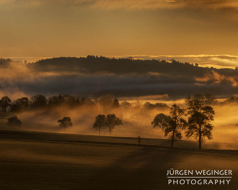 Hügelige Landschaft im warmen Gegenlicht. Mostviertel, Niederösterreich