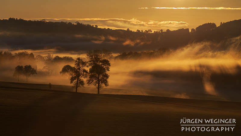Hügelige Landschaft im warmen Gegenlicht. Mostviertel, Niederösterreich