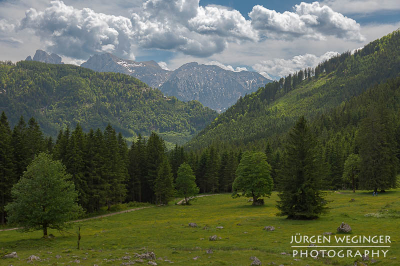 Almidylle auf der Lahnalm. Blick über die Alm mit Gebirge im Hintergrund. Blauer Himmel mit weißen Wolken. Lahnalm, Admont, Steiermark