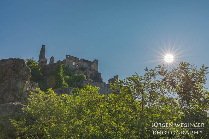 Grüne Blätter im Gegenlicht und Sonnenstern und blauen Himmel. Im Hintergrund ist eine Burgruine zu sehen. Burgruine Dürnstein, Wachau, Niederösterreich.