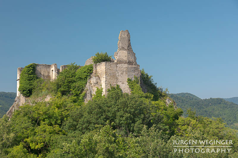 Burgruine Dürnstein in der Wachau unter blauen Himmel. Bäume mit grünen Blätterdach im Vordergrund. Wachau, Niederösterreich.