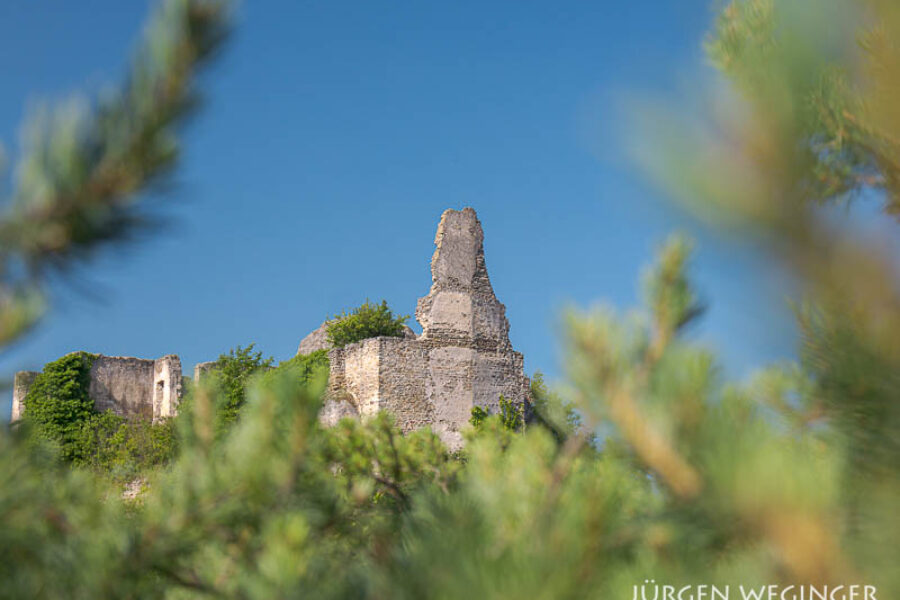 Fototour in der Wachau – Morgendliche Aufnahmen an der Burgruine Dürnstein