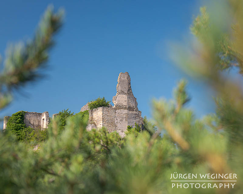 Fototour in der Wachau – Morgendliche Aufnahmen an der Burgruine Dürnstein