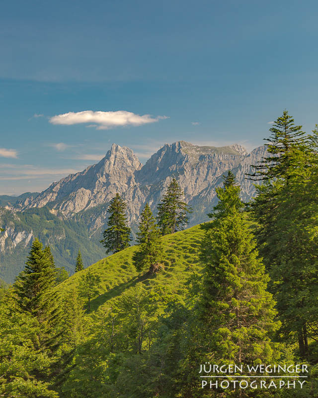 Berg mit blauem Himmel und weissen Wolken mit Wald im Vordergrund. Nationalpark Gesäuse