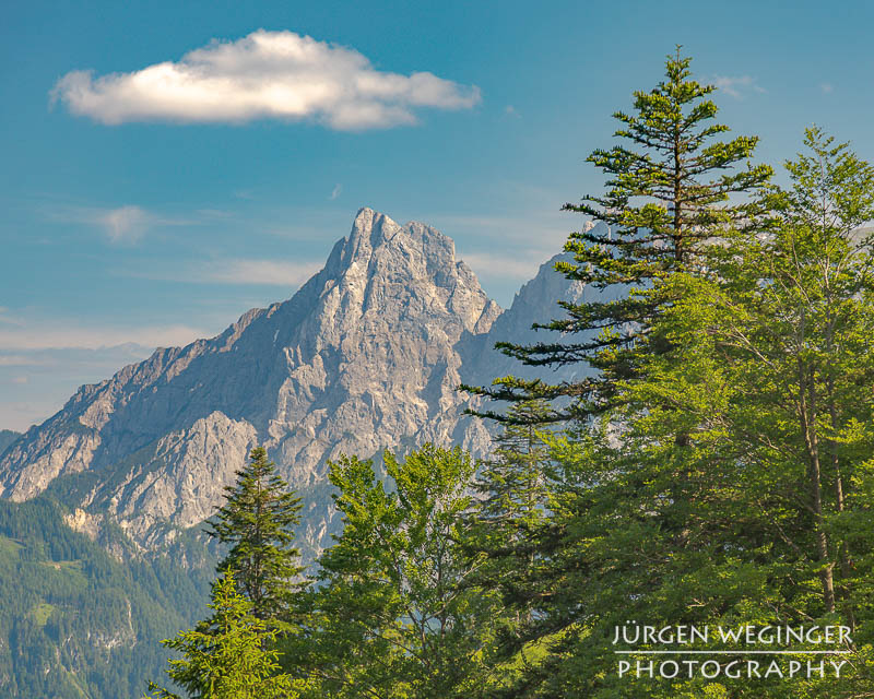 Berg mit blauem Himmel und weissen Wolken mit Wald im Vordergrund. Nationalpark Gesäuse