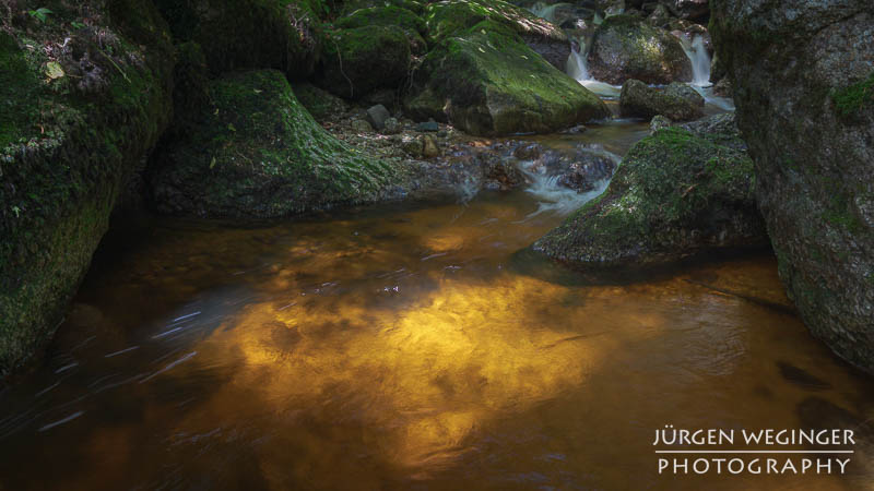 Goldbrauner Flusslauf mit kleinen Wasserfällen in der Ysperklamm, Waldviertel, Niederösterreich