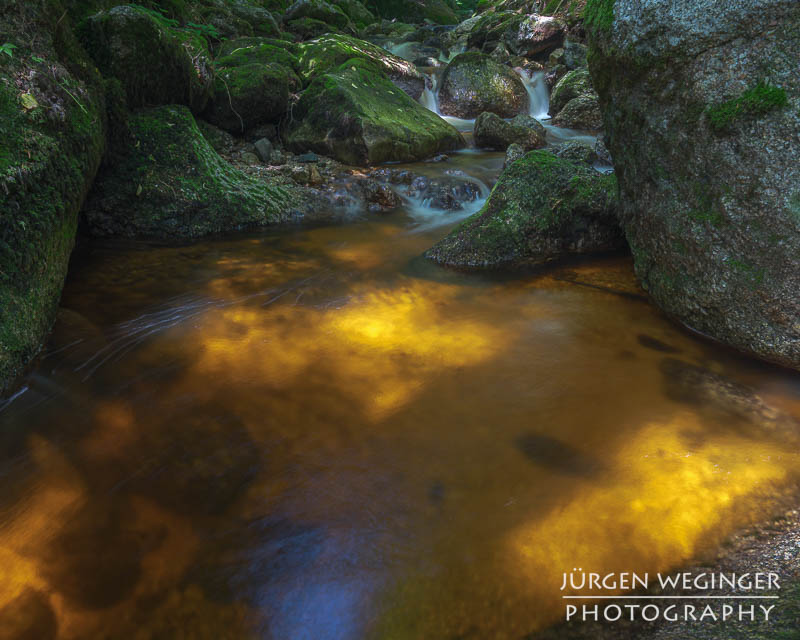 Goldbrauner Flusslauf mit kleinen Wasserfällen in der Ysperklamm, Waldviertel, Niederösterreich