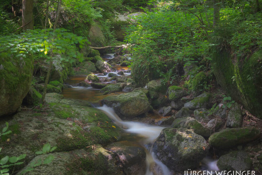 Ein Spontanausflug in die Ysperklamm | Abkühlung und Fotografie