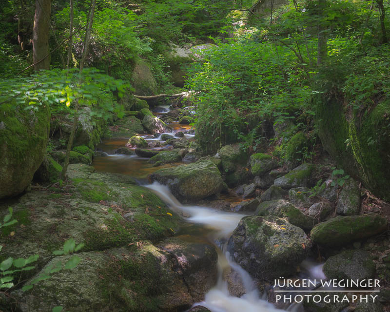 Ein Spontanausflug in die Ysperklamm | Abkühlung und Fotografie