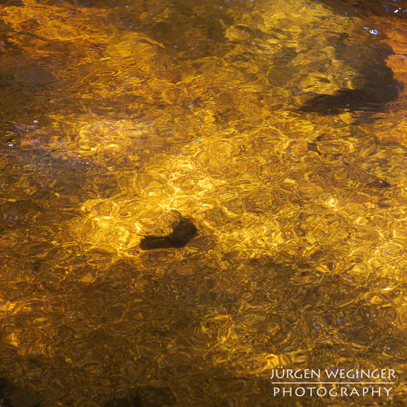 Abstrakte Muster auf der Wasseroberfläche, goldbraun, Ysperklamm, Waldviertel, Niederösterreich