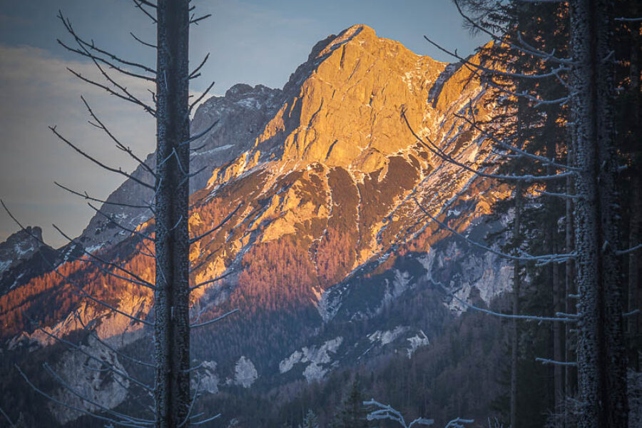Auf der Suche nach Winter und Frost – ein Tag mit Naturfotografie
