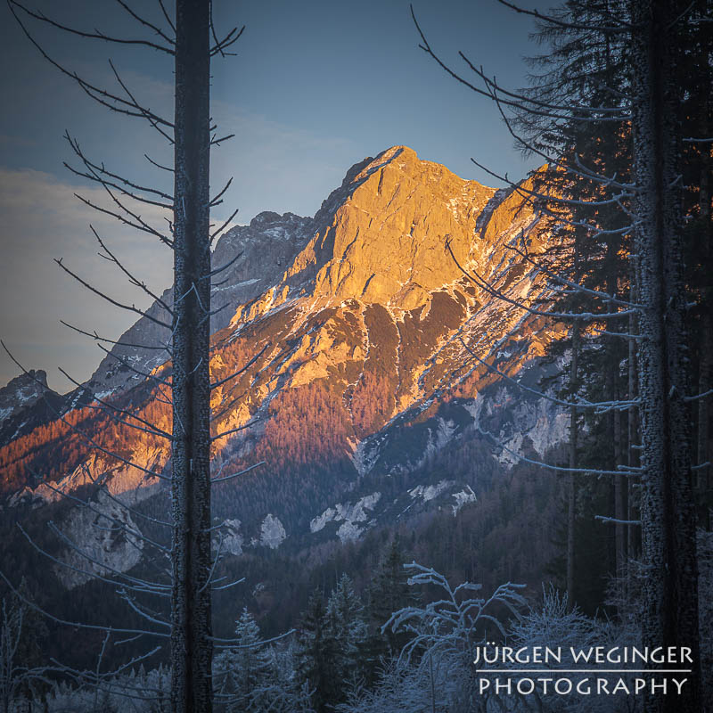 Auf der Suche nach Winter und Frost – ein Tag mit Naturfotografie