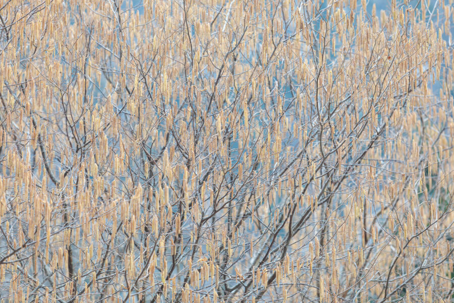 Warum ich heute auf private Fotoworkshops setze