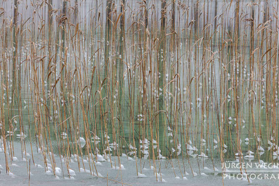 Winterimpressionen vom Leopoldsteinersee