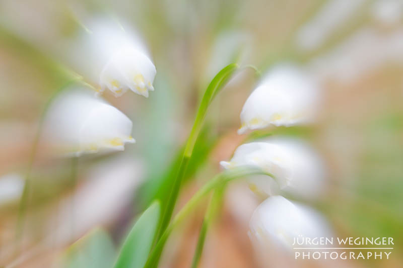 Bilder aus dem März | Eine Herausforderung