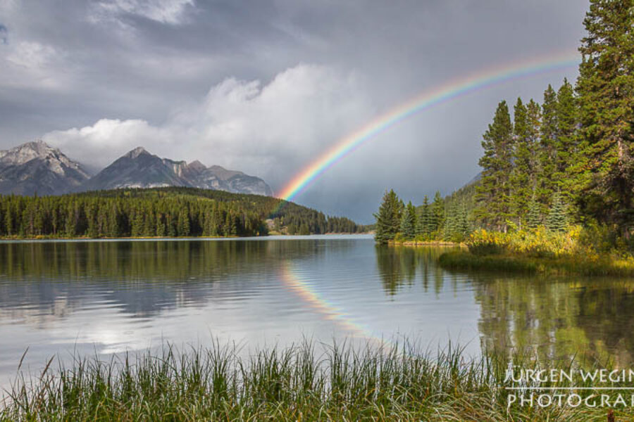 Fotografieren bei schlechtem Wetter | Warum Regen oft die besseren Naturfotos bringt