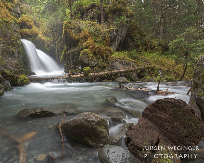Virgin Creek Falls im Wald bei Girdwood in Alaska