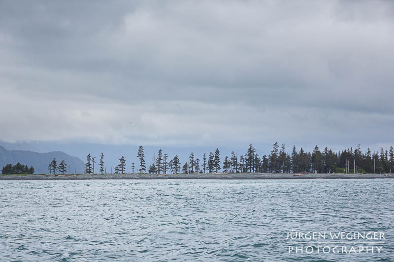 Kleine bewaldete Insel in der Resurrection Bay in Alaska