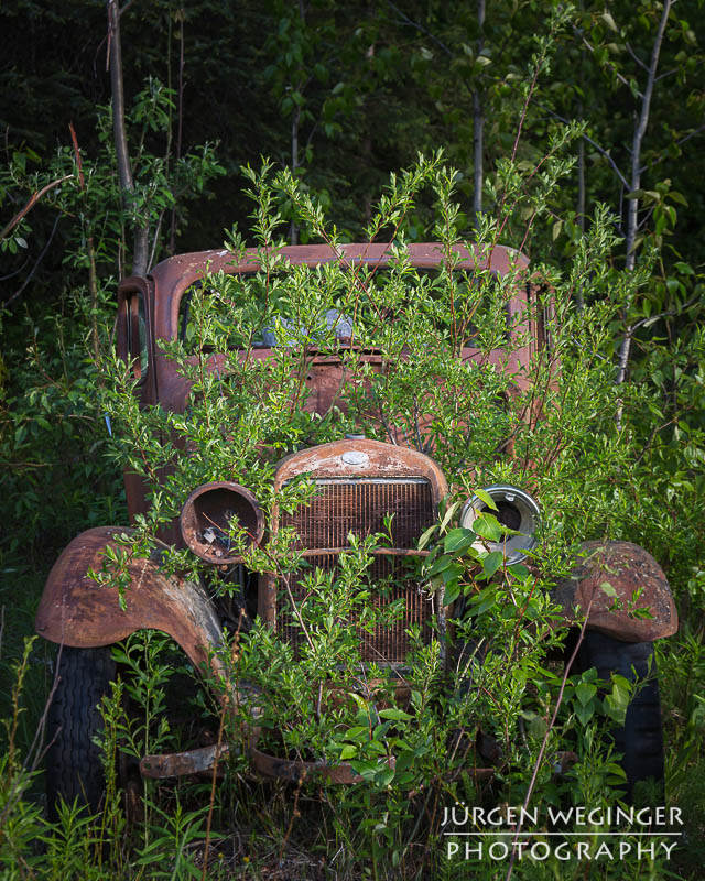 Alter rostiger Ford im Wald in Alaska