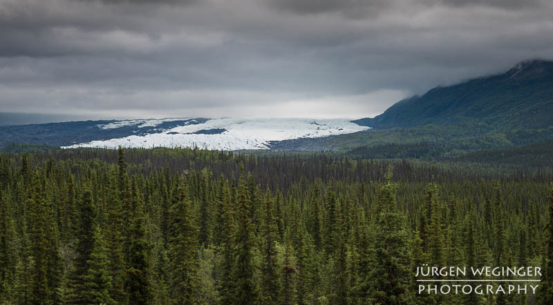 Blick auf den Matanuska Glacier am Glenn Highway in Alaska